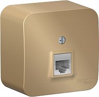 Розетка компьютерная накладная Systeme Electric Blanca 1-м. RJ45 5e титан картинка